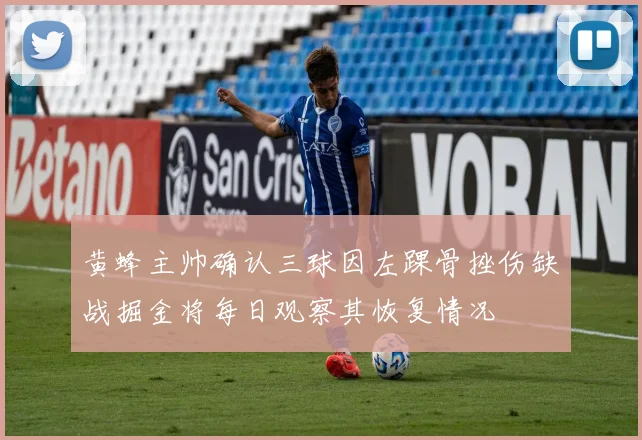 黄蜂主帅确认三球因左踝骨挫伤缺战掘金将每日观察其恢复情况