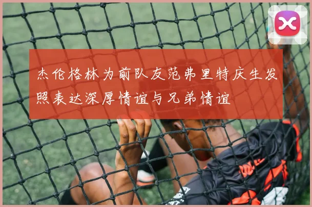 杰伦格林为前队友范弗里特庆生发照表达深厚情谊与兄弟情谊